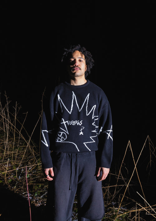 ARARIS PUNK KNIT